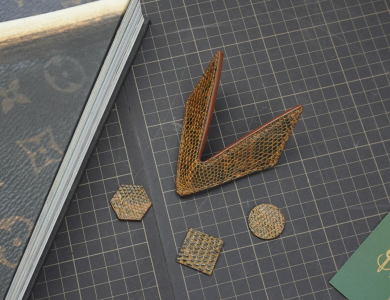 Kẹp lơ bida - Đôi cánh - Kỳ đà hoa nâu