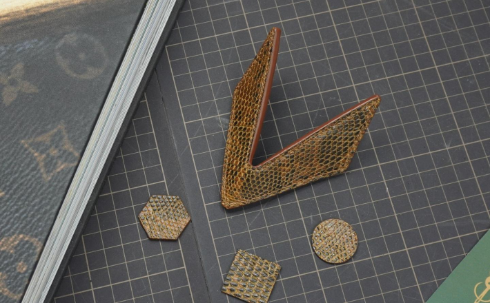 Kẹp lơ bida - Đôi cánh - Kỳ đà hoa nâu